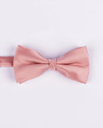 Papillon in seta