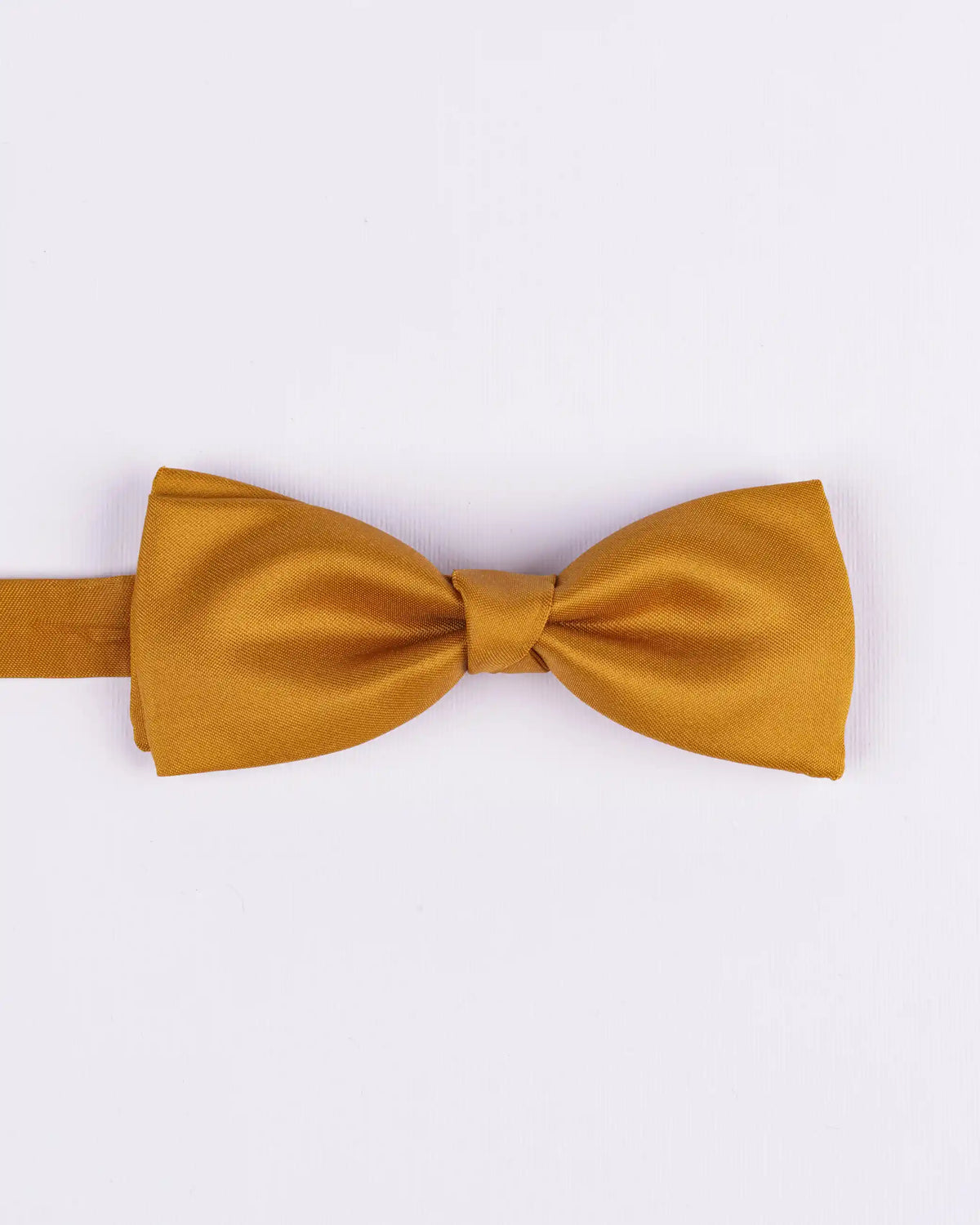 Papillon in seta
