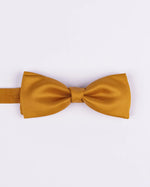 Papillon in seta